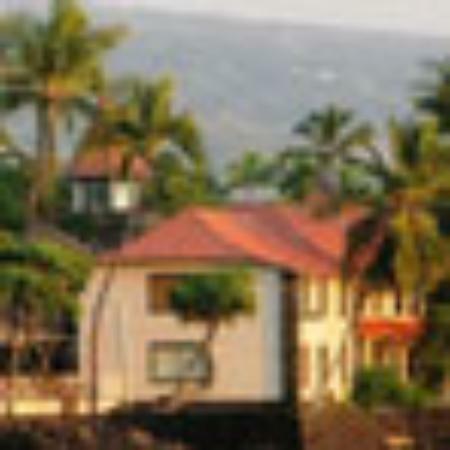 Padaria Flor Do Limoeiro